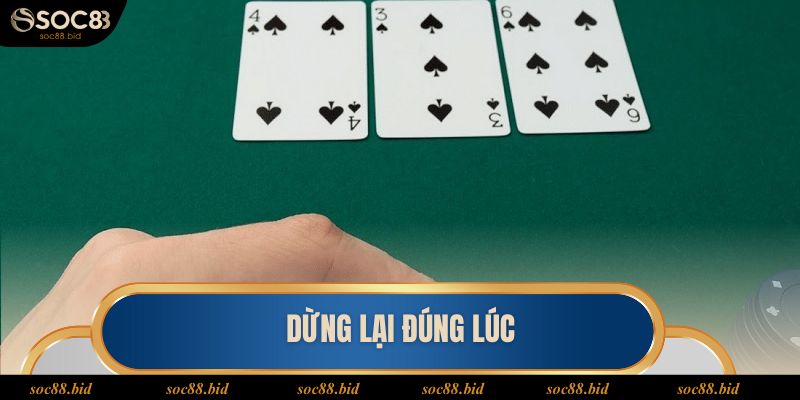 Cách Chơi Blackjack Dễ Hiểu Và Cụ Thể Nhất Cho Tân Thủ Dừng lại đúng lúc để gia tăng cơ hội thắng