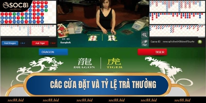 Các thuật ngữ trong cách chơi Rồng Hổ tại SOC88