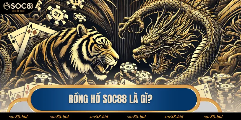 Rồng Hổ Soc88 Rồng Hổ soc88 là gì?